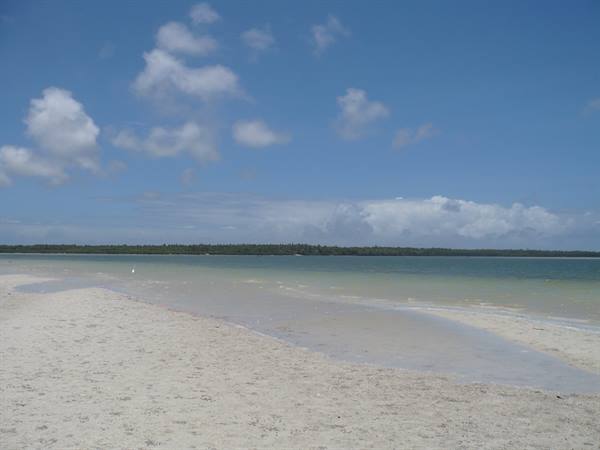 White sand and shallow turquoise water in front of a forest, blue sky with clouds