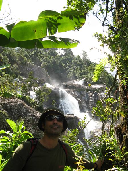 Traveler in hat before a waterfall amid ferns and banana leaves