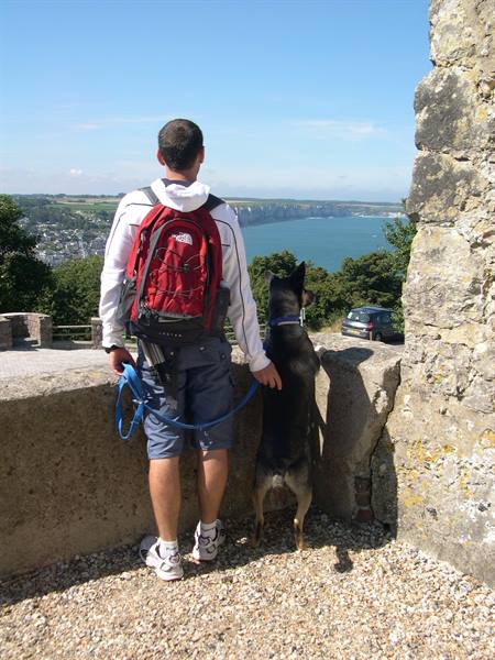 LUCKY. . . MY CURIOUS DOG . . . (UPPER NORMANDY)