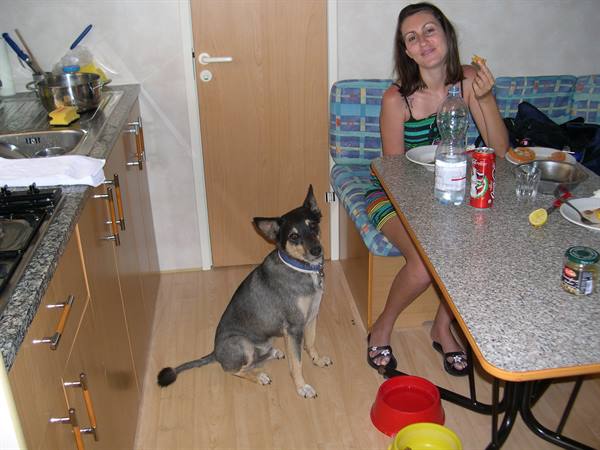 Woman eating at kitchen table, dog sitting beside red food bowls