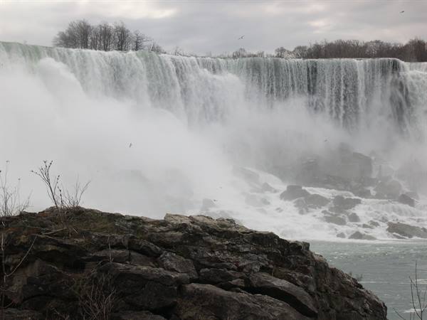 THE POWER OF NATURE . . .