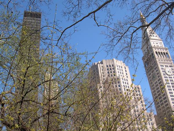 PANORAMA FROM CENTRAL PARK