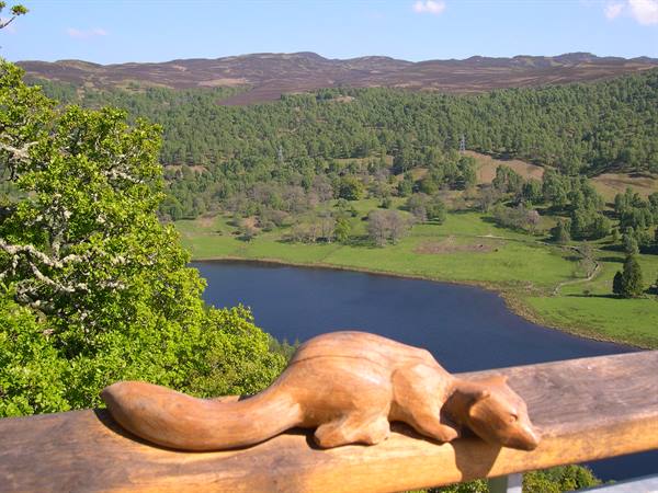 BEAUTIFUL QUEEN'S VIEW
