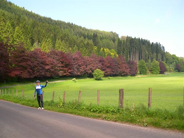 BEAUTIFUL COLOURS ALONG THE ROUTE