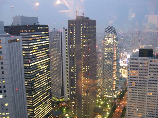 VIEW FROM THE TOKYO METROPOLITAN GOVERNMENT BUILDING