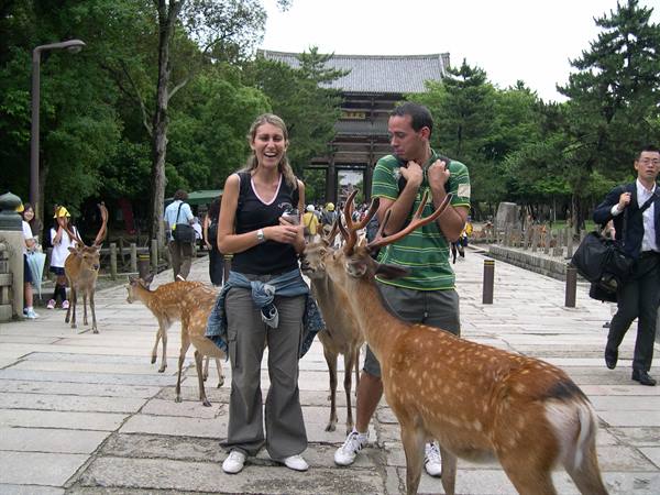 Two tourists surrounded by sika deer on the stone path to Todai-ji temple
