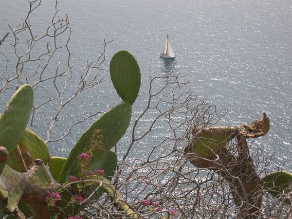 SAILBOAT OFF THE COAST