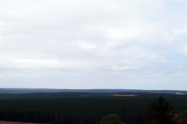 great ocean road