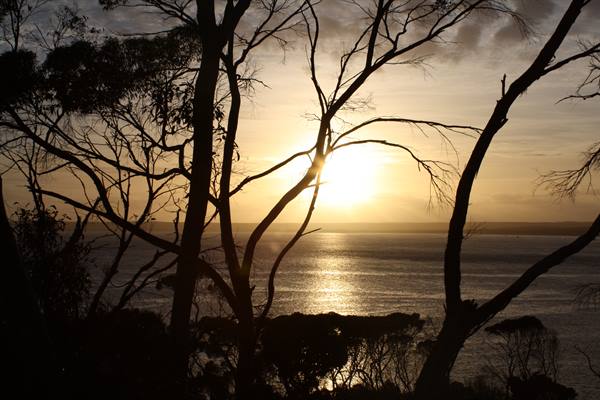 Kangaroo Island - Dawn