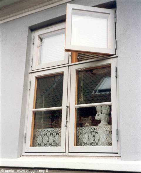 WINDOW