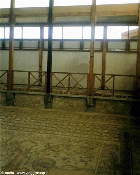 HOUSE OF DIONYSUS