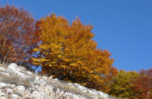 Autumn in Abruzzo