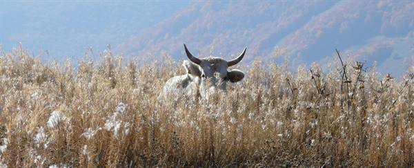 Autumn in Abruzzo