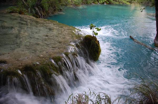 Small waterfall over mossy travertine in the turquoise water of Plitvice Lakes