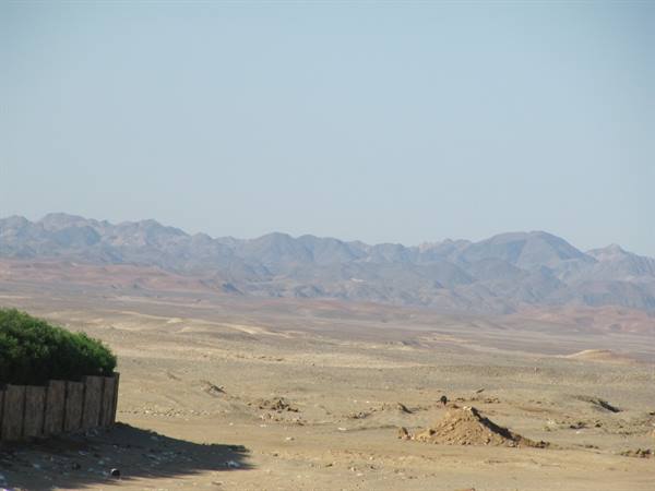 26 - the desert behind the Tulip