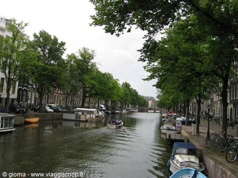 Boat gliding along an Amsterdam canal lined with houses and trees