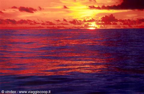 Red sun sinking into the ocean, golden reflections rippling on the waves