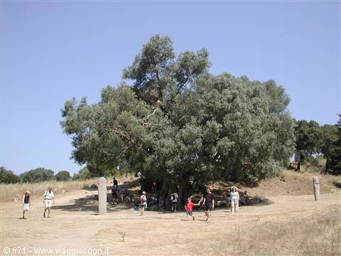 ARCHAEOLOGICAL EXCAVATIONS