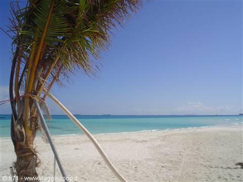 WHITE SANDS
