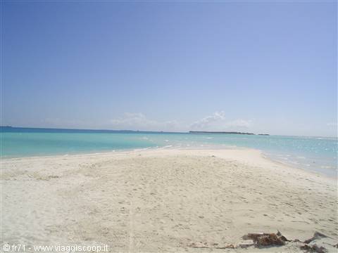 WHITE BEACH