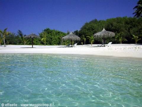 the beach