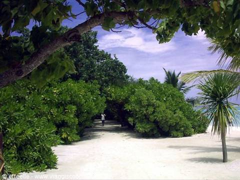 the beach