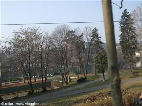 Tree-lined park with path and tall conifers, hazy buildings in the distance