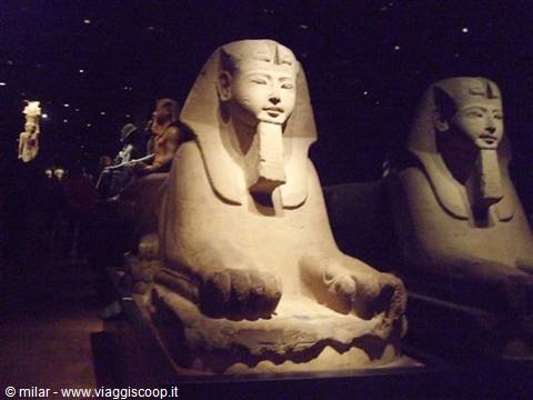 Limestone sphinx statue lit in the Egyptian museum hall