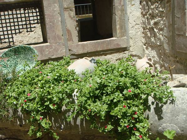 Terracotta amphorae among trailing flowers in front of an ancient stone wall
