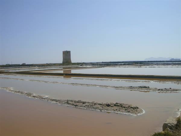 Ochre salt pans with white crusts, ancient tower in the background
