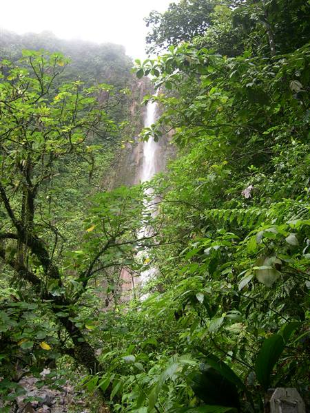 Deuxième chute du Carbet