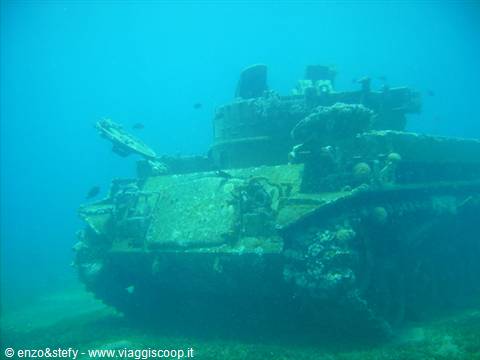  The Tank