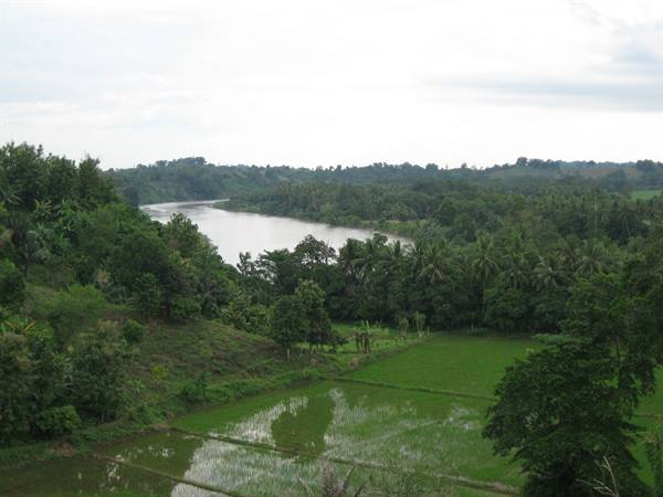 Sulawesi