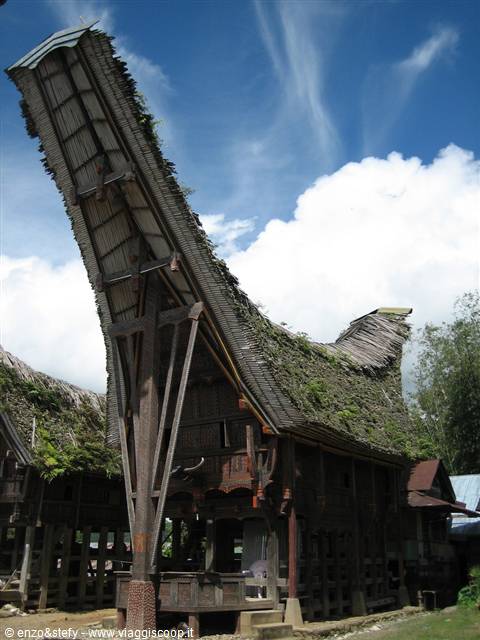 Toraja House