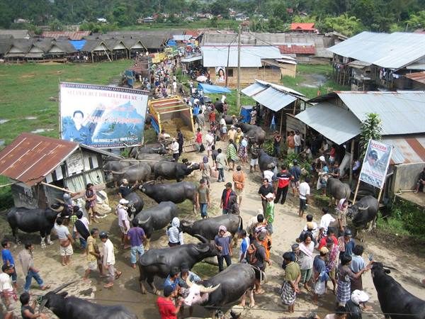 Animal market1