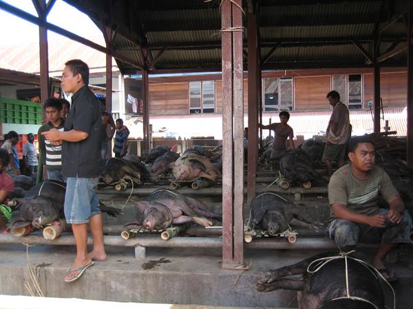 Animal market2