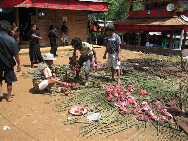 Toraja Ceremony2