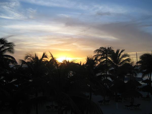 Palm trees silhouetted on the beach as the sun sets, umbrellas and loungers below