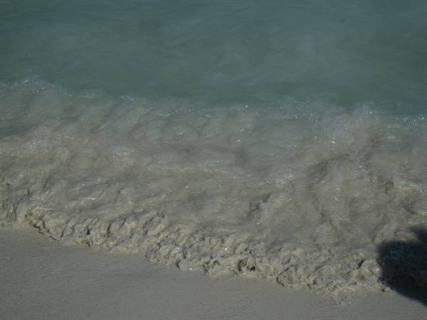 Foamy wave receding over pale sand at the beach