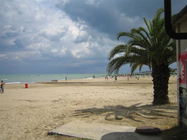Palm tree on sand, beachgoers and umbrellas under stormy clouds
