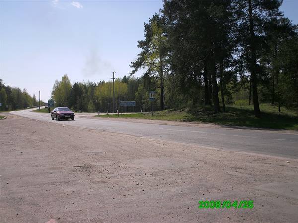 Car on countryside road with pine trees and sand, clear sky