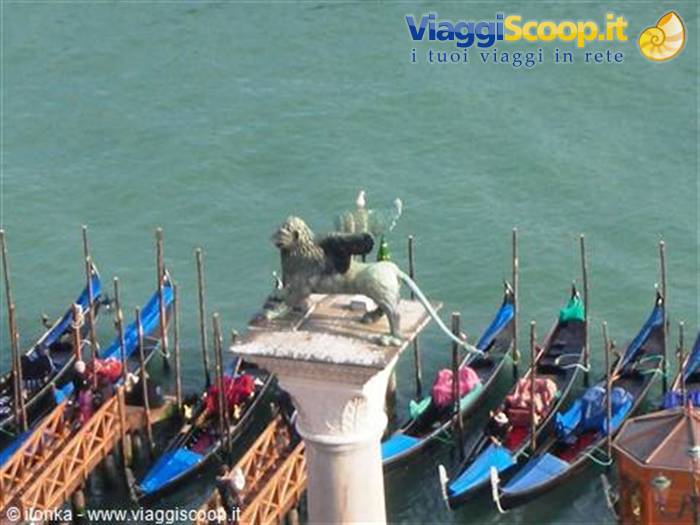 the lion of venice....