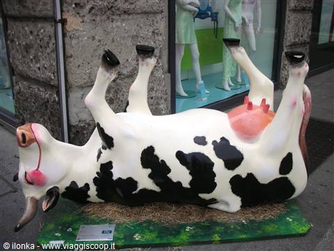 Cow sculpture lying on its back with legs up outside a shop