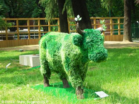 Green topiary cow sculpture in a park with wooden fence