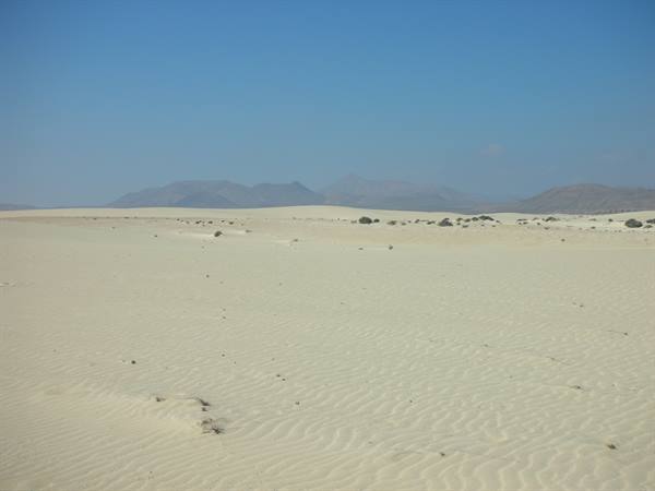 The dunes