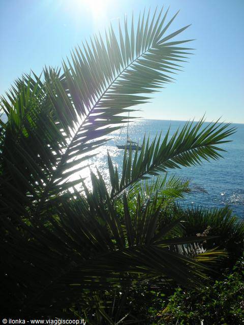 sea view - artistic