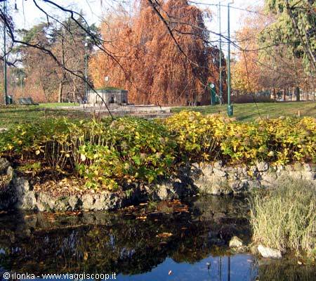 Pond with rocks and autumn shrubs, fountain and reddish trees in the park