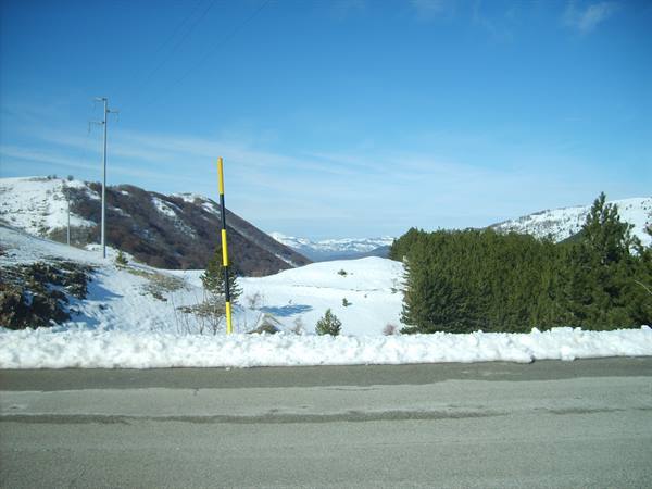 Asphalt road with piled snow, green pines, snowy hills, yellow-black pole, blue sky