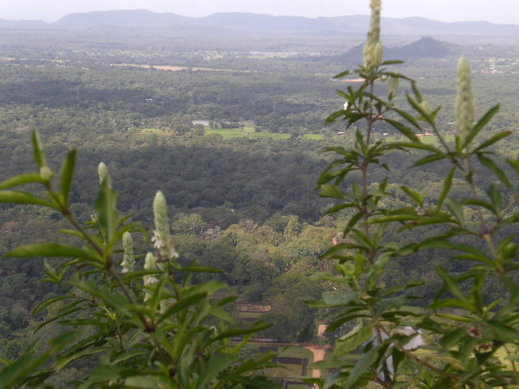 View from above of Sigiriya