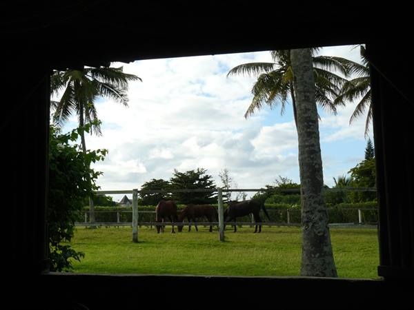 Asso Villa: Breakfast with a View